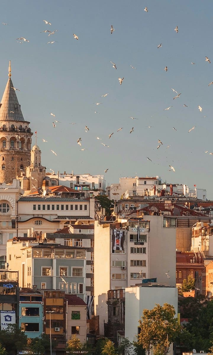 Der Galataturm bei Sonnenuntergang, Istanbul